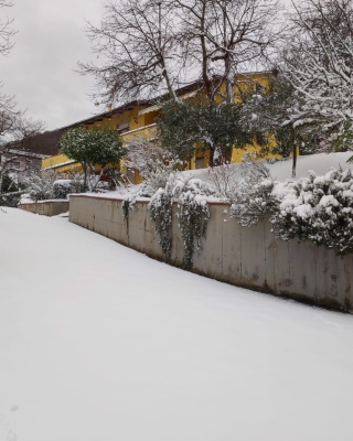 Epifania con la neve 1