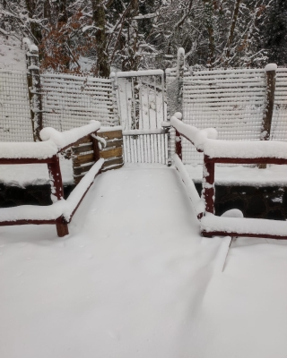 Epifania con la neve 5