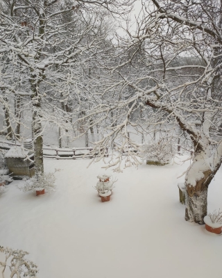 Epifania con la neve 6